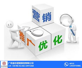 凌志营销策划 番禺区营销型网页建设与软件开发，优质商家首选